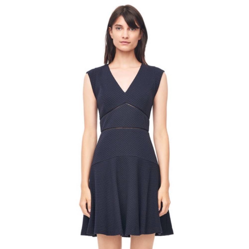 Classic Rebecca Taylor dress